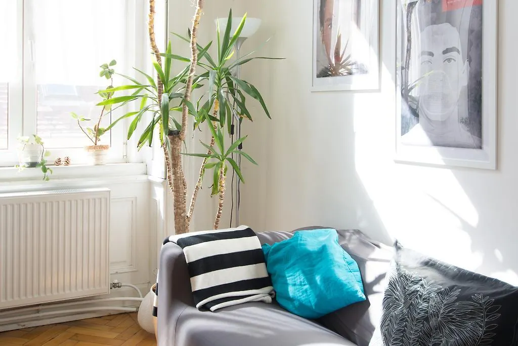 Activity Hostel Budapest