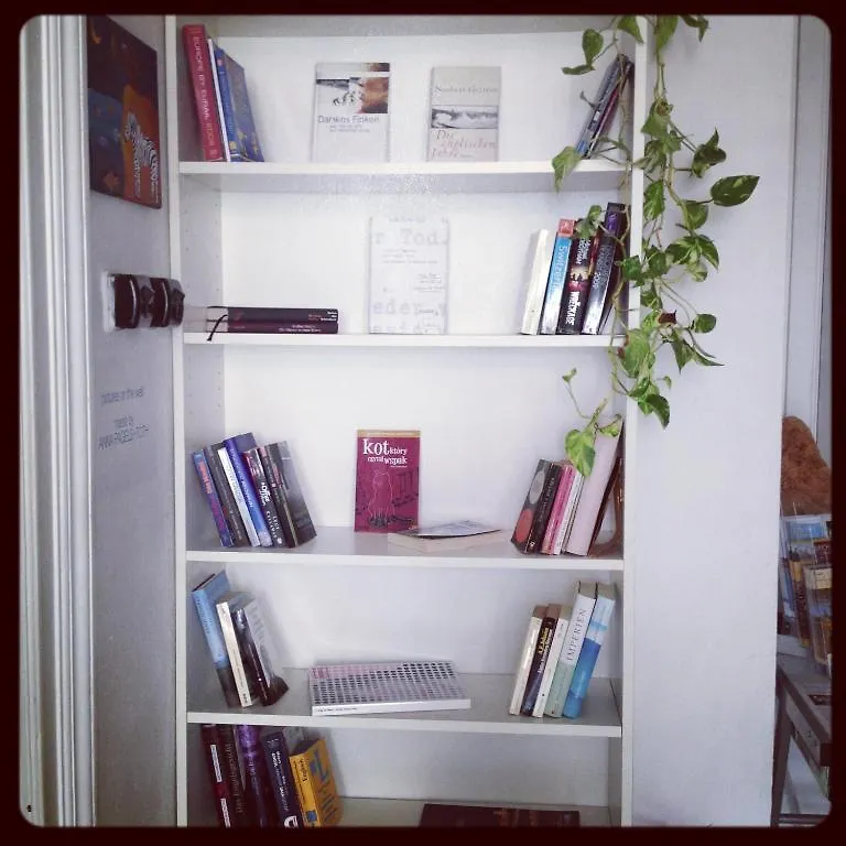 Activity Hostel Budapest Ungarn